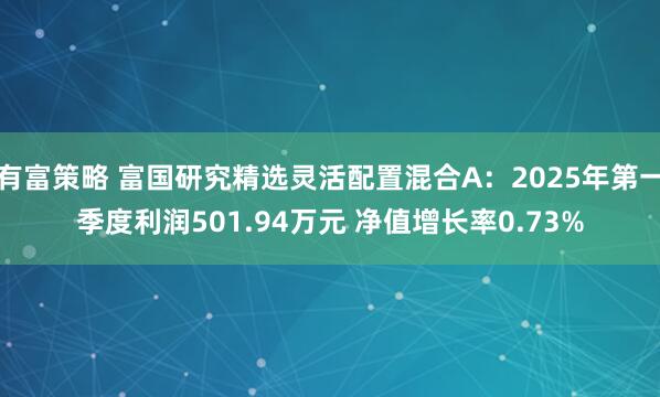 有富策略 富国研究精选灵活配置混合A：2025年第一季度利润501.94万元 净值增长率0.73%