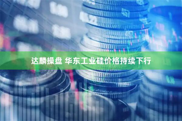 达麟操盘 华东工业硅价格持续下行
