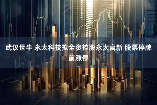 武汉世牛 永太科技拟全资控股永太高新 股票停牌前涨停