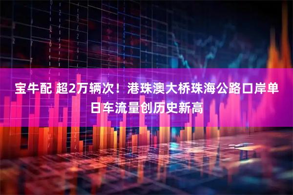宝牛配 超2万辆次!港珠澳大桥珠海公路口岸单日车流量创历史新高